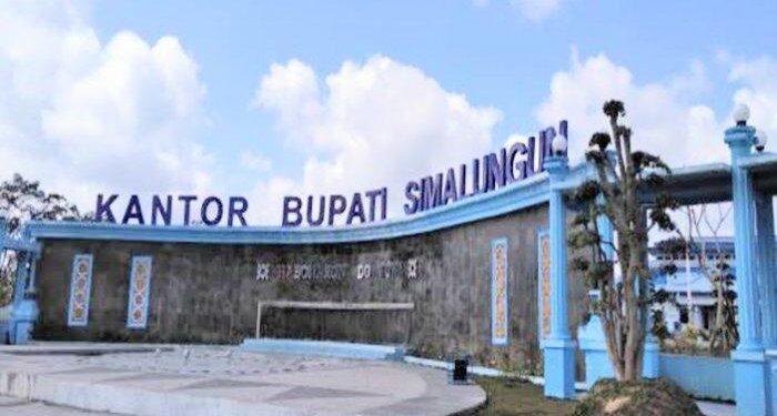 Capai 600 Orang ASN Pensiun per Tahunnya, Pemkab Simalungun Lakukan Hal Ini.